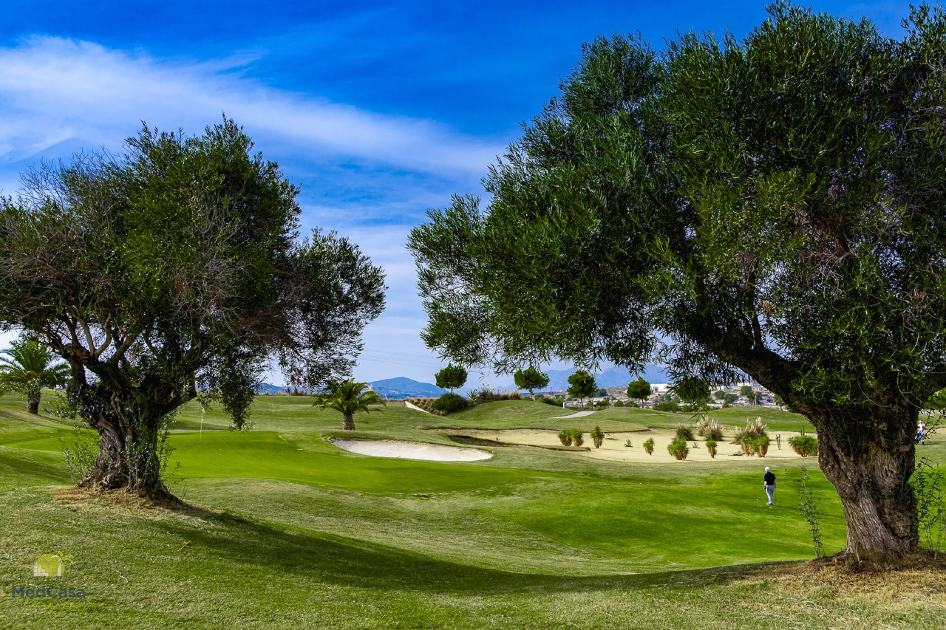 18 holes of golf on the domain